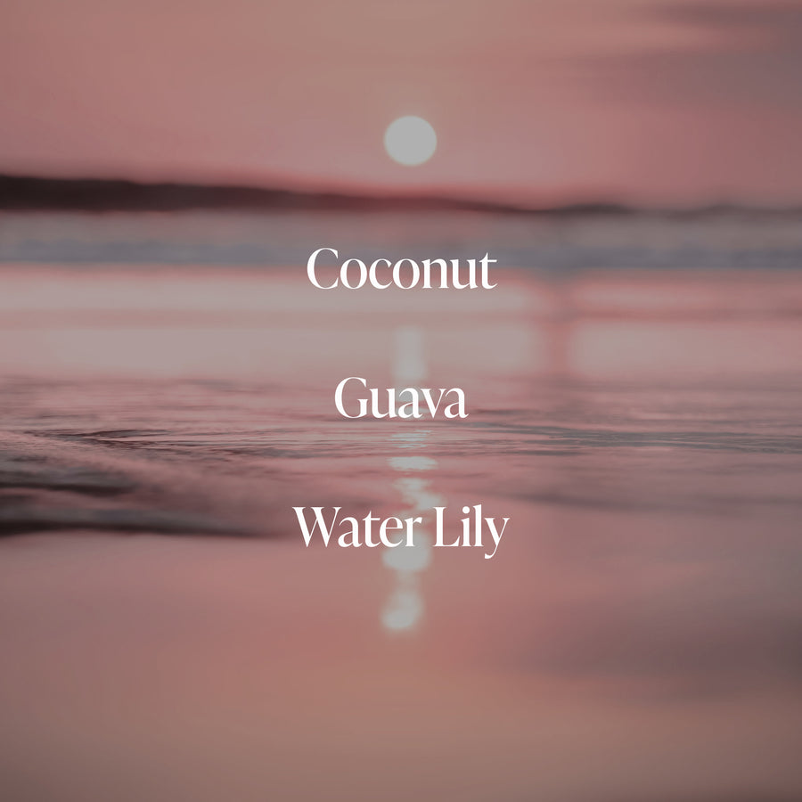 Coral Coast – Essentials Set